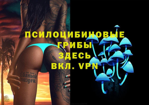 кокаин премиум Богданович