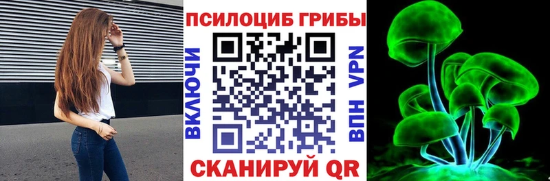 Псилоцибиновые грибы GOLDEN TEACHER  Болохово 